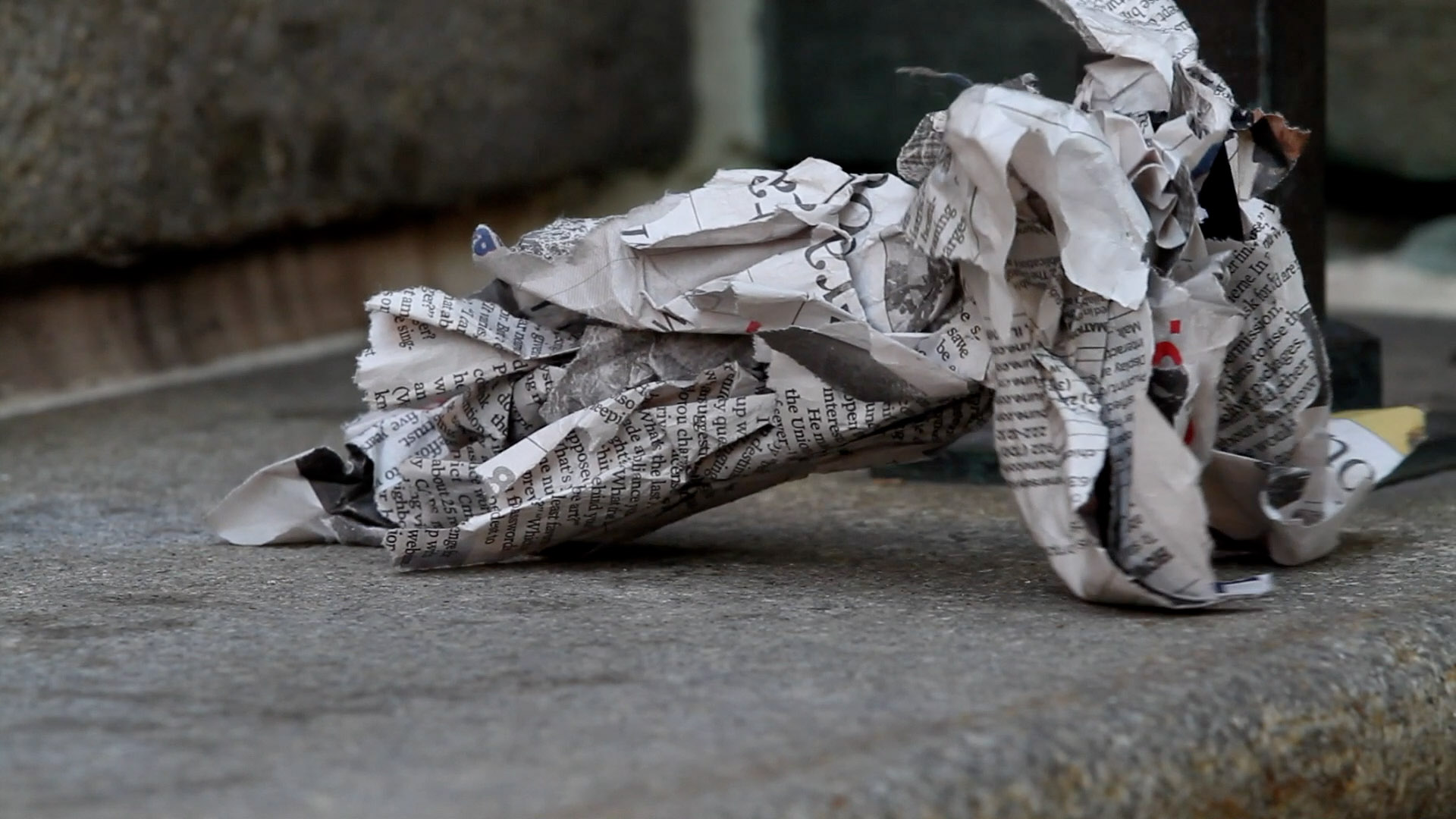 Segnisiter continuus image 3