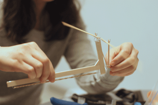 Figure 1.3, Ancestral Variant with a rubber-band power system