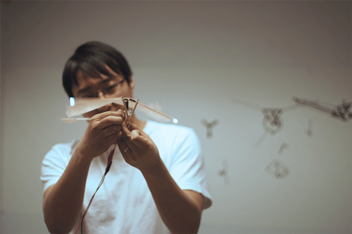 Figure 3.1, Integrated Luminous Variant with illuminated wing tips