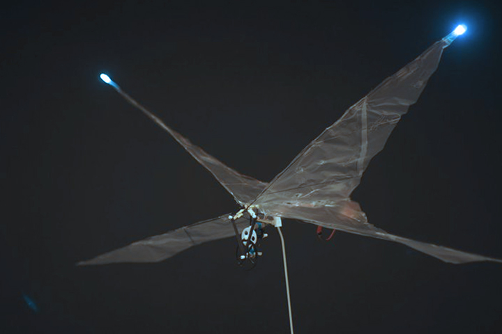 Figure 6.3, Volucris - Apex Variant (Tetrapterous Model)